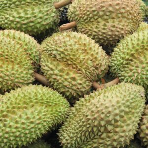 Durian in the market Thailand