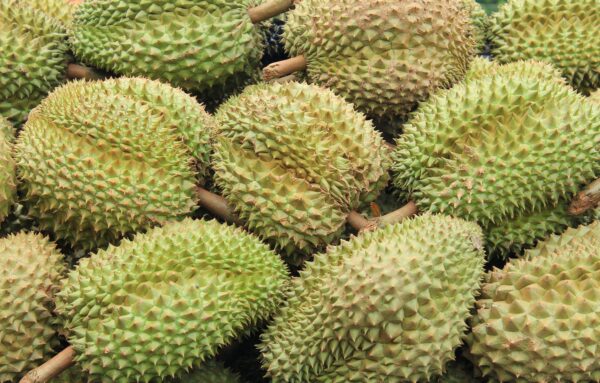 Durian in the market Thailand