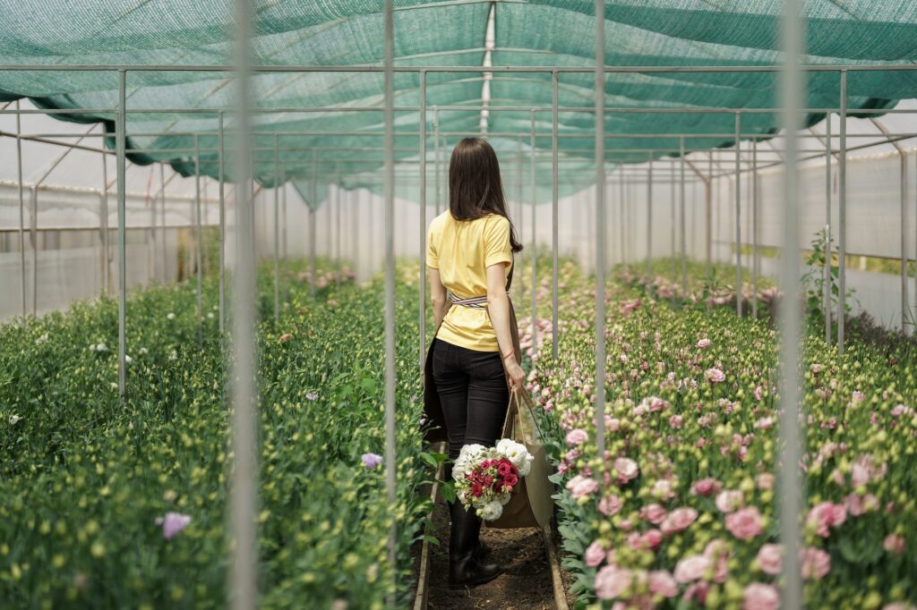 Flower cultivation business, woman walking through green house to see the harvest.