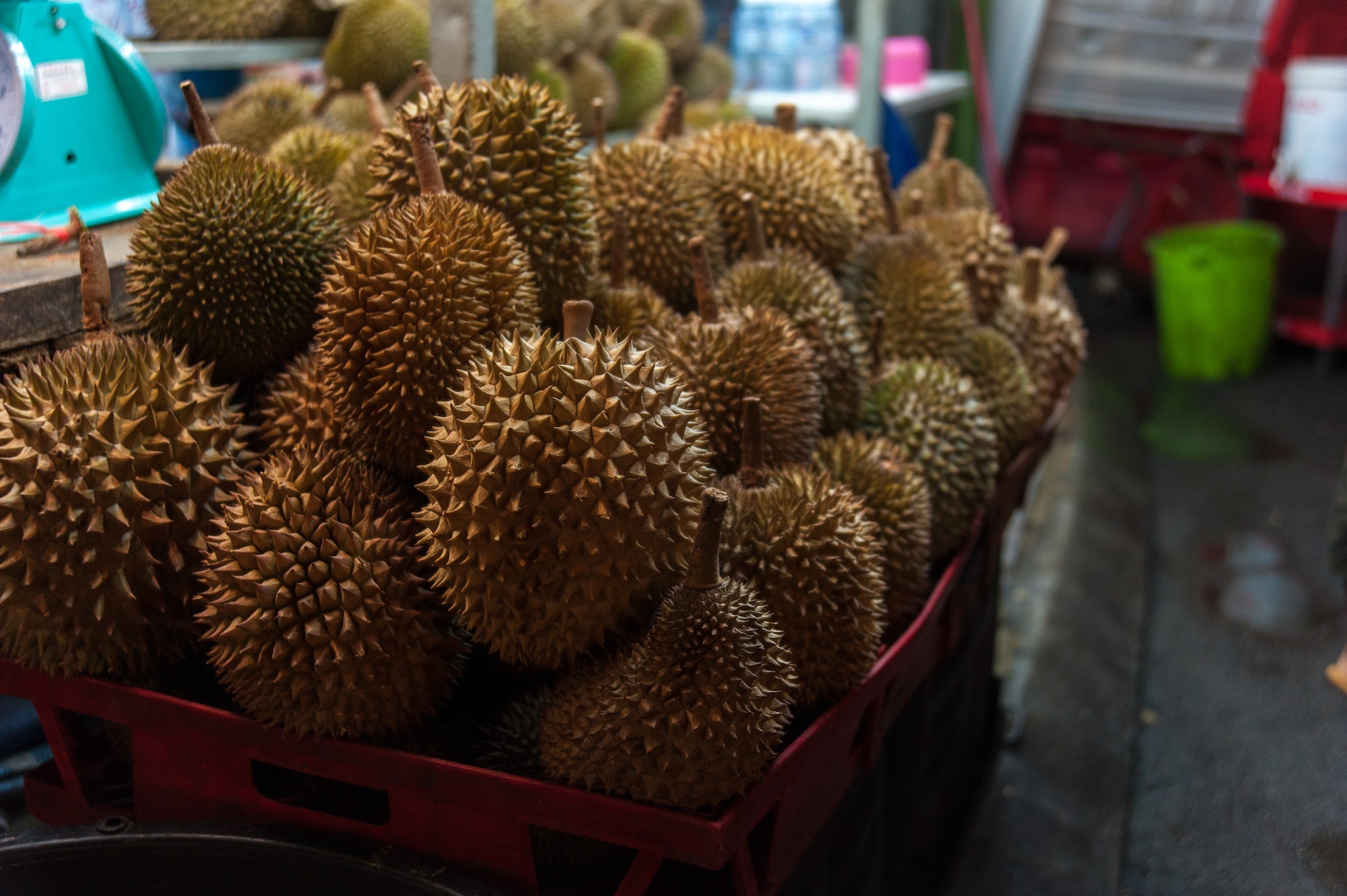 Tropical fruit of durian at the night market